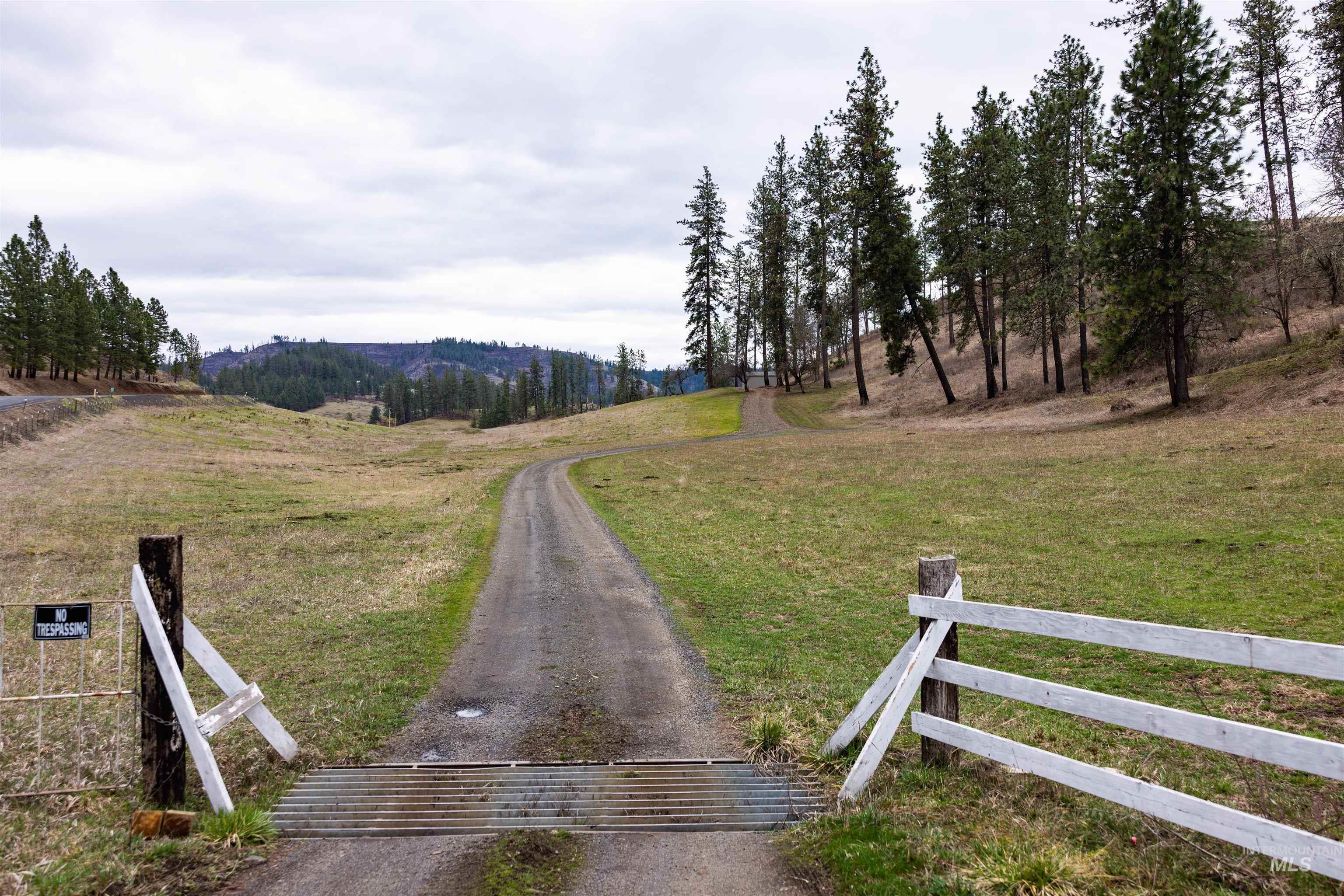 402 Beaverslide Road Kamiah, ID 83536 - Photo 23 of 46 View of yard featuring a rural view