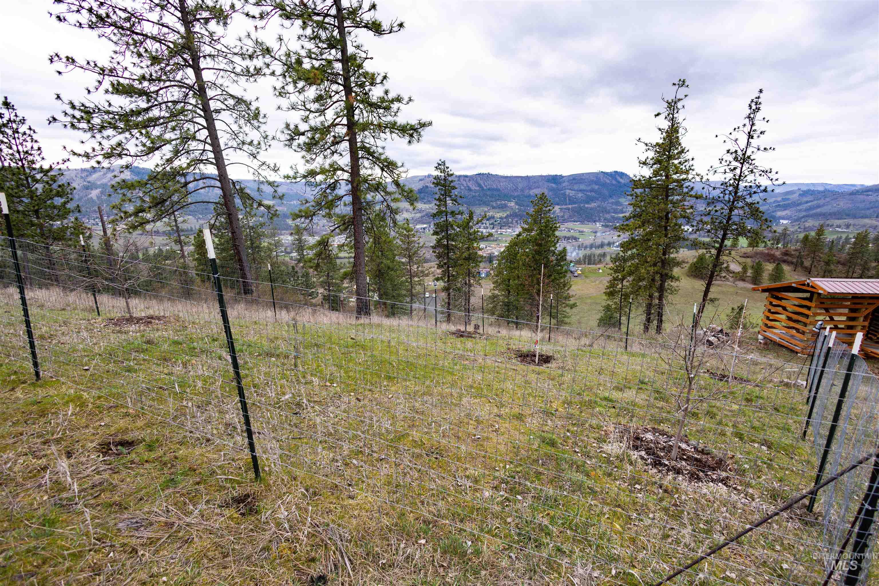 402 Beaverslide Road Kamiah, ID 83536 - Photo 35 of 46 Mountain view with rural landscape
