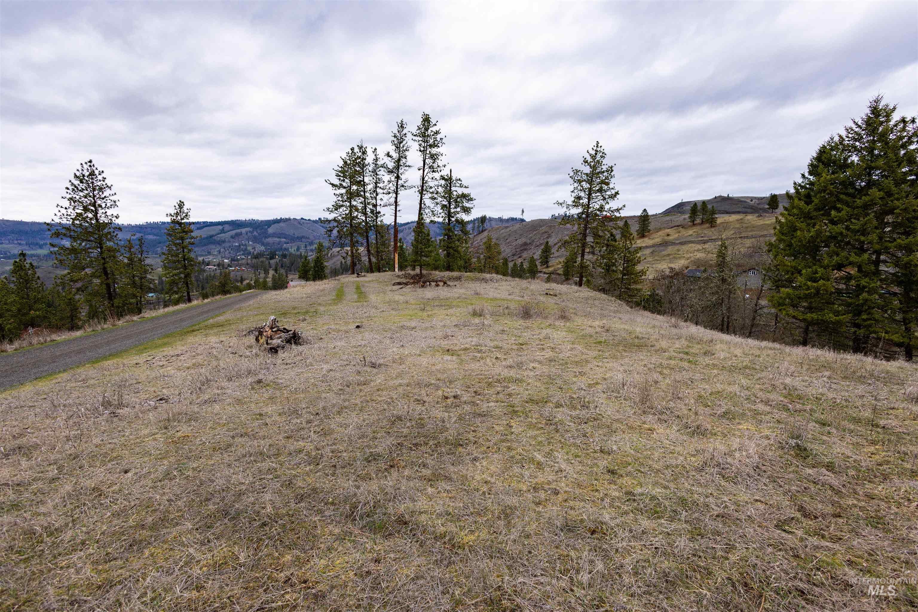 402 Beaverslide Road Kamiah, ID 83536 - Photo 41 of 46 View of yard with a rural view and a mountain view
