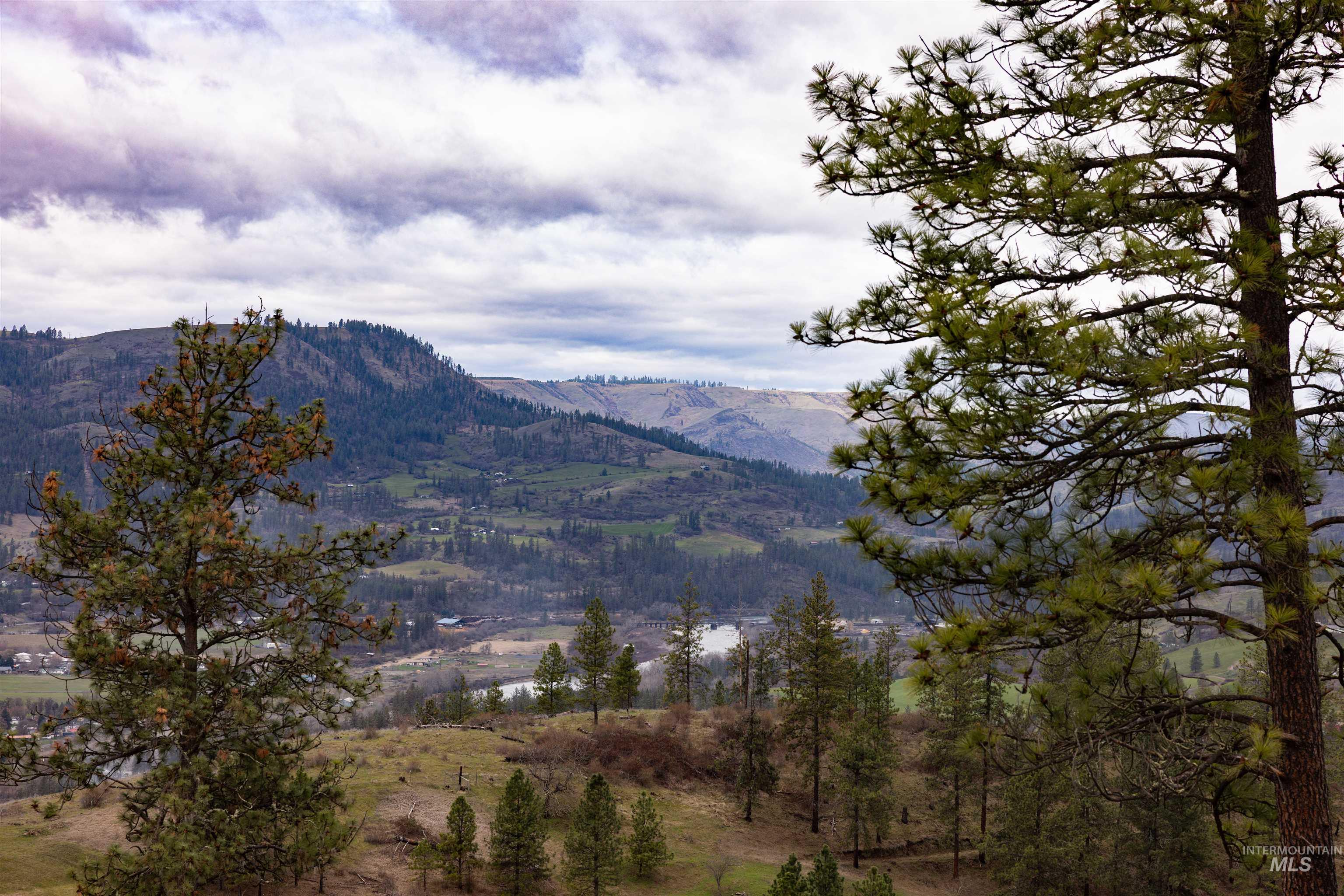 402 Beaverslide Road Kamiah, ID 83536 - Photo 43 of 46 View of mountain backdrop