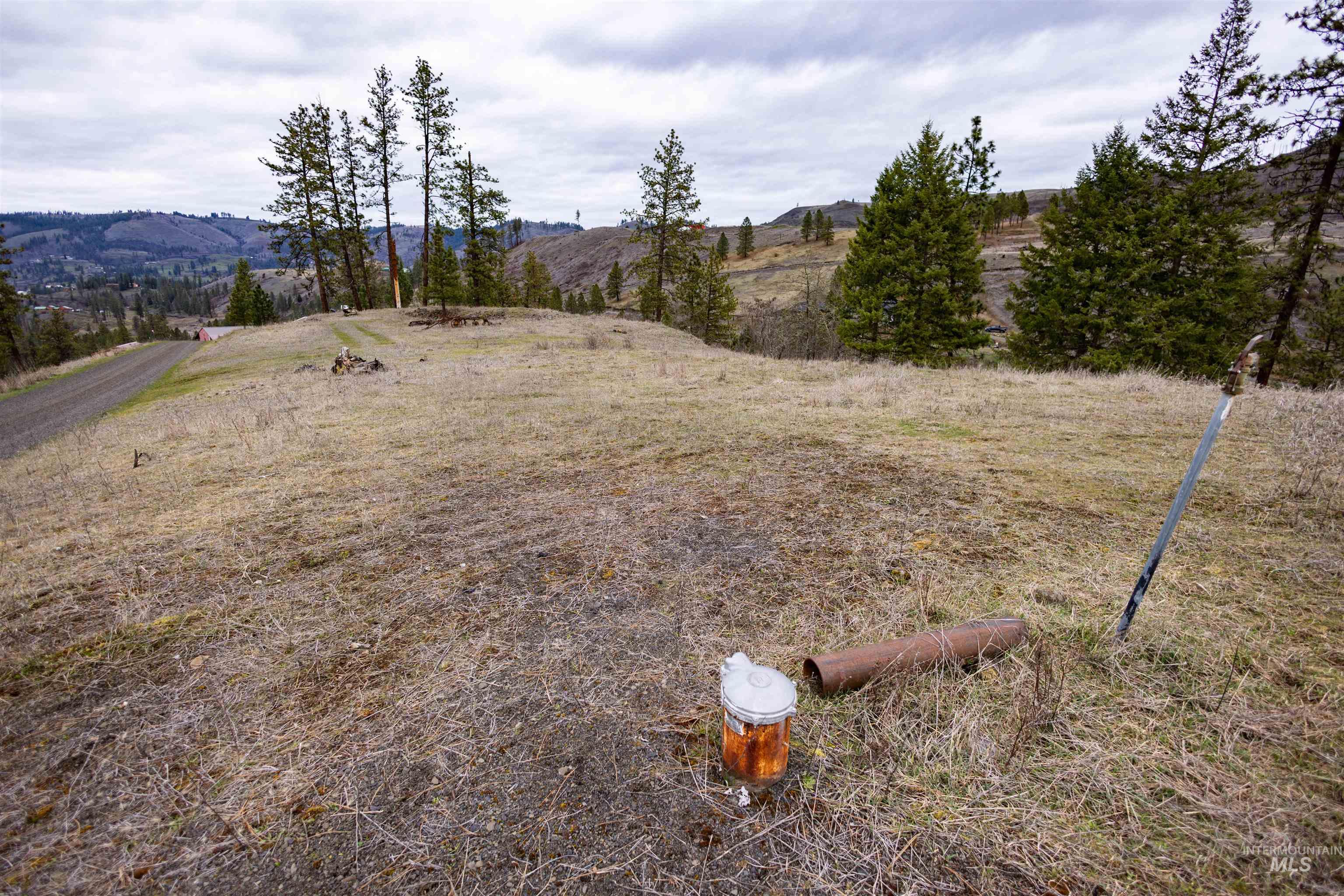 402 Beaverslide Road Kamiah, ID 83536 - Photo 44 of 46 View of yard featuring a view of rural / pastoral area and a mountain view