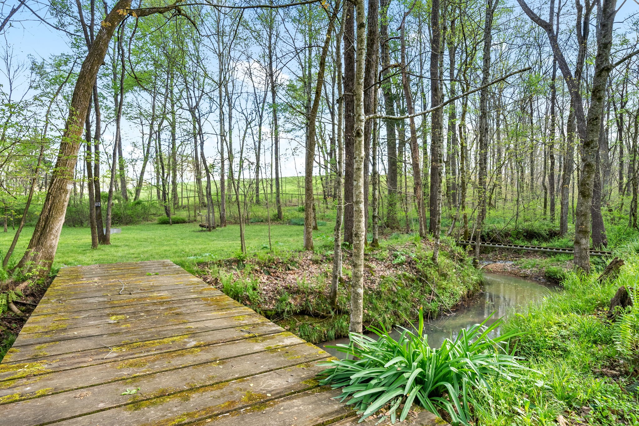 4813 Henry Gower Road Pleasant View, TN 37146 - Photo 44 of 49 a garden view with a fountain