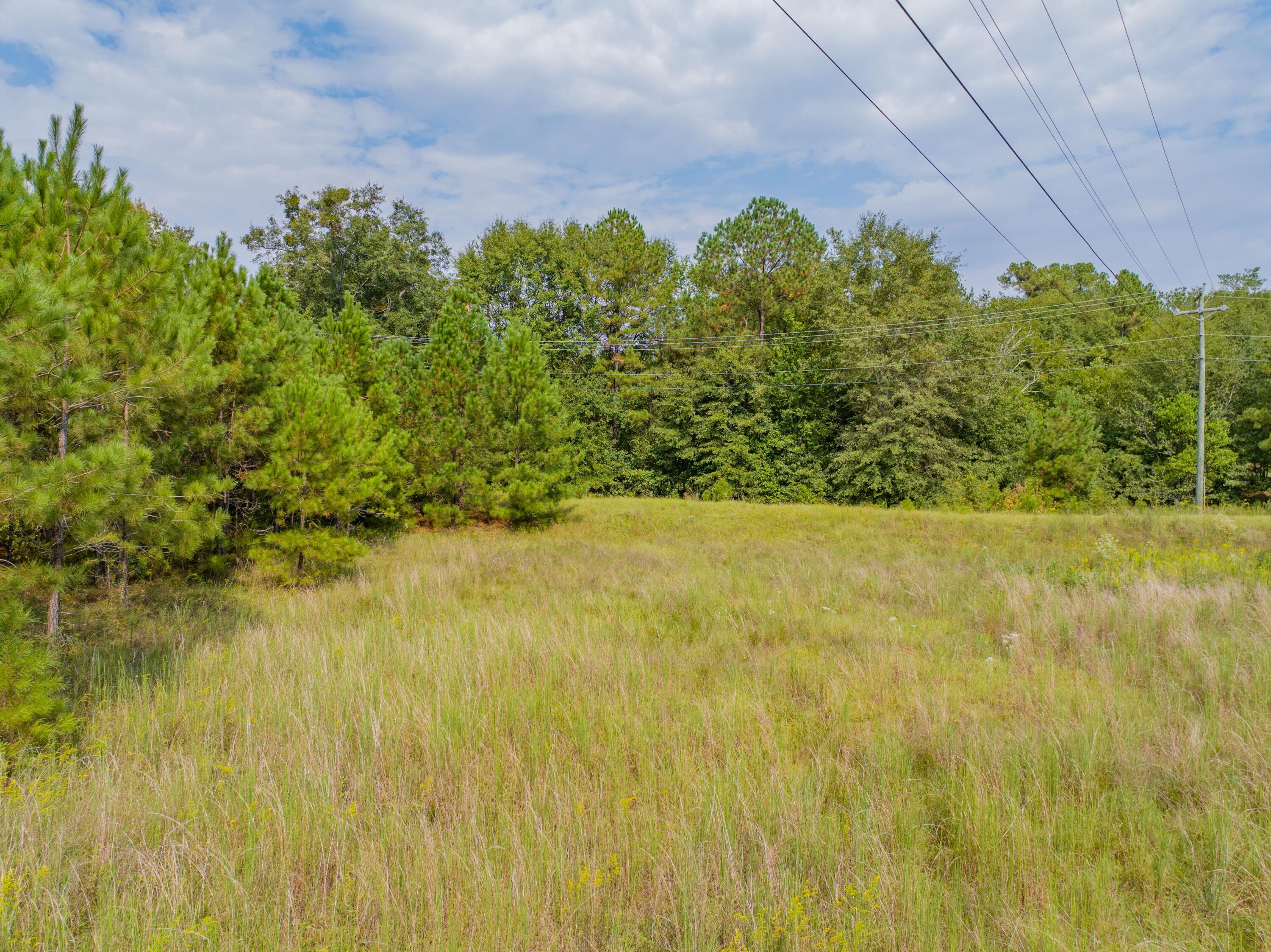 3621 Morgan Road Hephzibah, GA 30815 - Photo 4 of 7 4-min