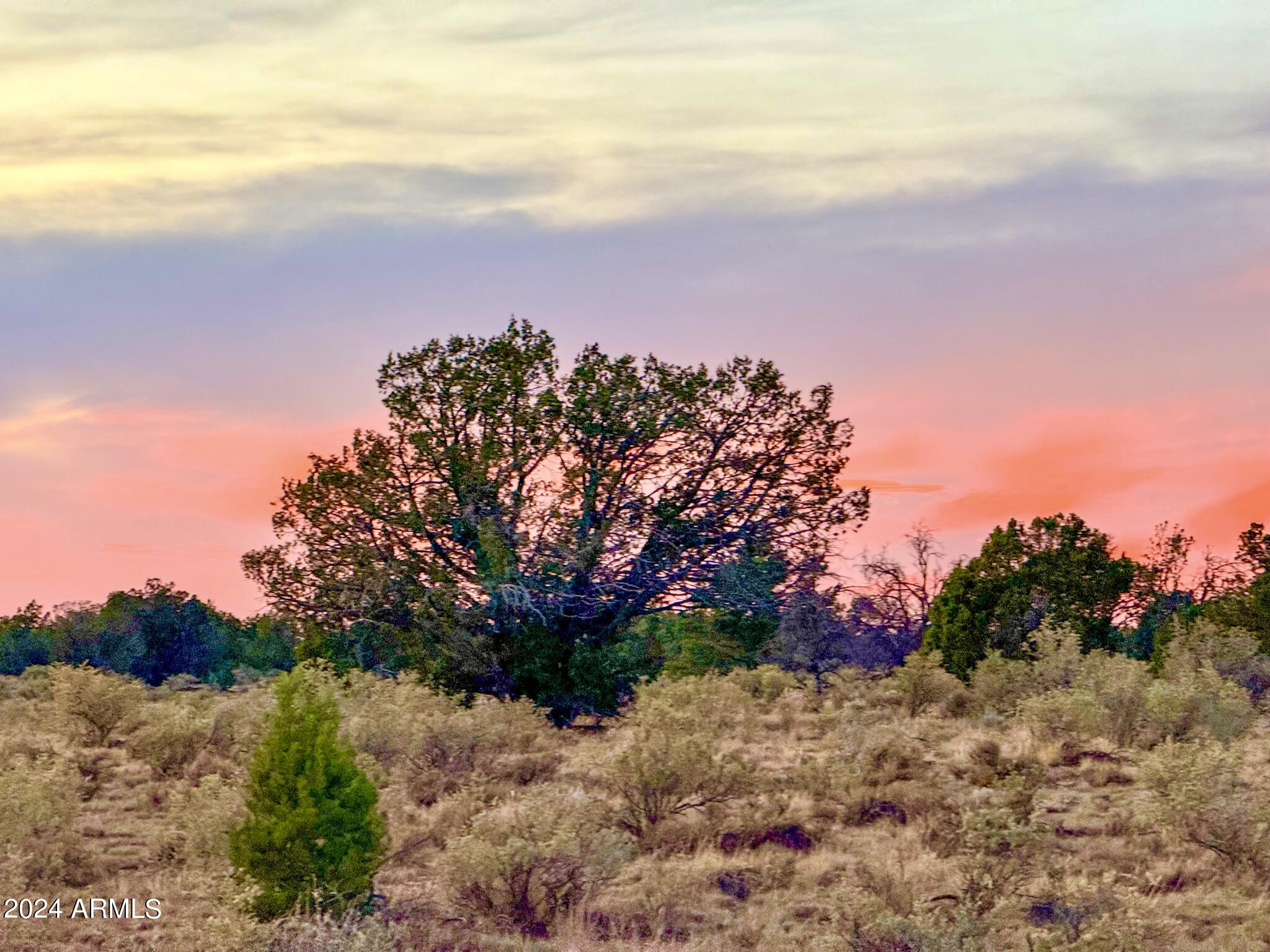 9371 Red Butte Road Williams, AZ 86046 - Photo 6 of 19 IMG_7620