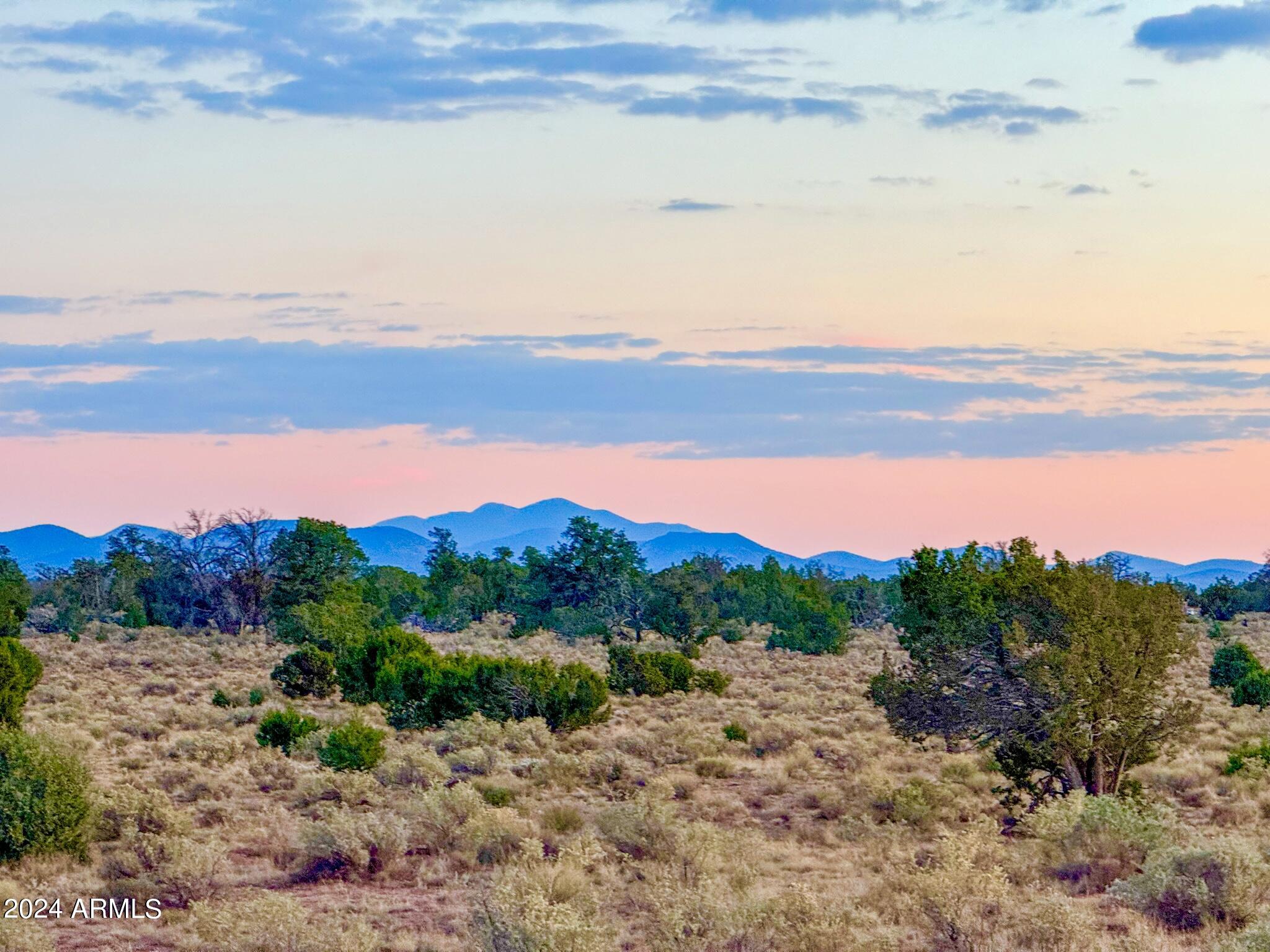 9371 Red Butte Road Williams, AZ 86046 - Photo 7 of 19 IMG_7618