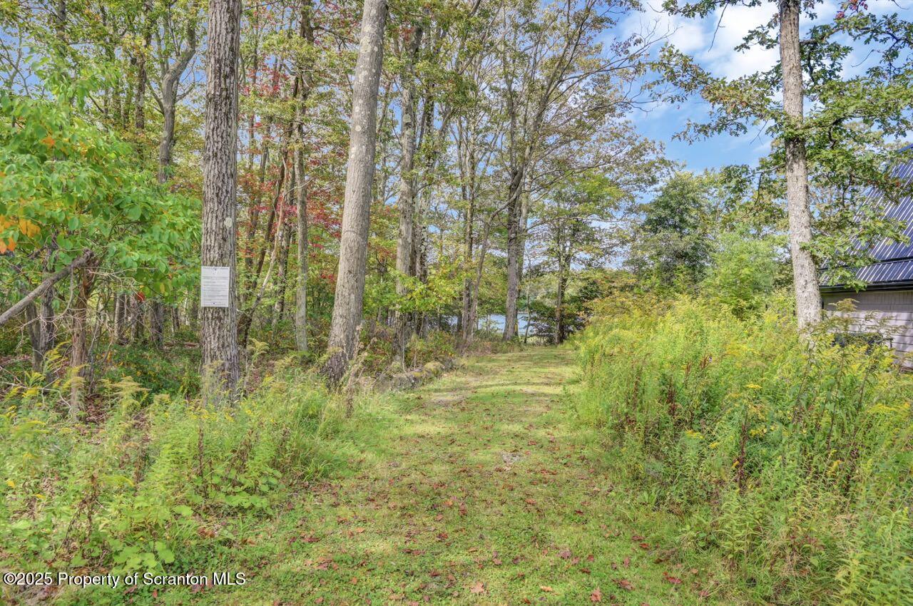 50 Little Lake Road Lake Ariel, PA 18436 - Photo 72 of 73 50 Little Lake Rd 71 Large