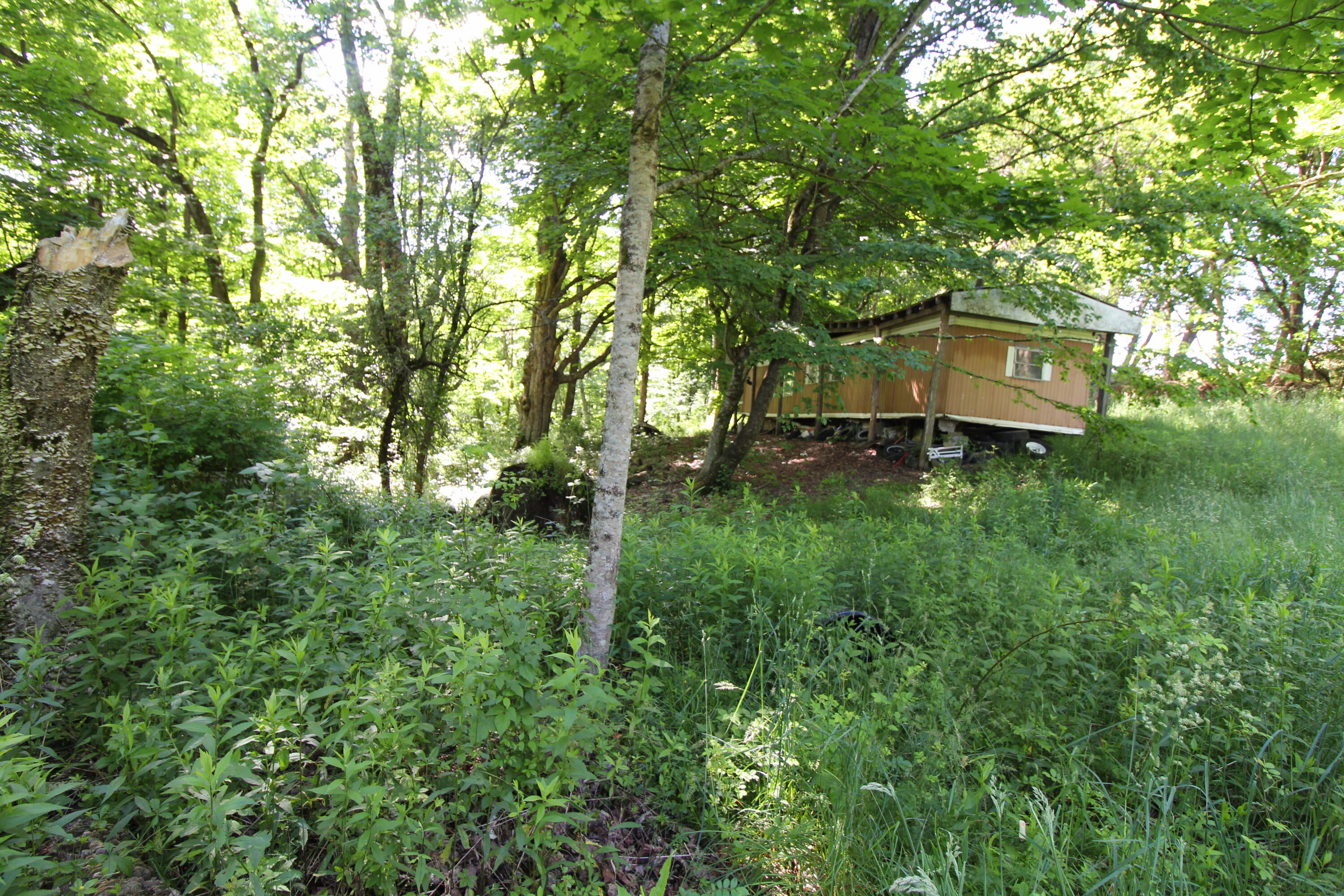 1024 River Road Rainelle, WV 25962 - Photo 30 of 31 Gallery Image 30