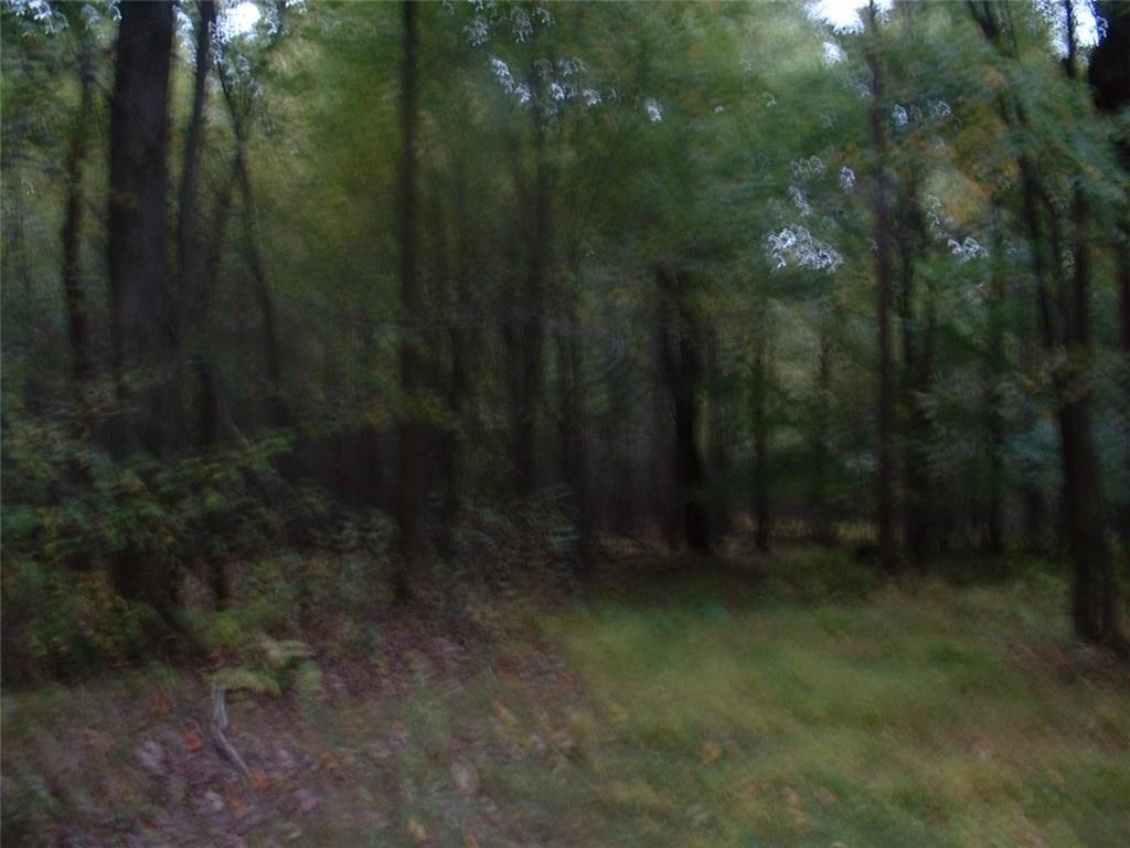 Parcel Stiles Road Homer City, PA 15748 - Photo 3 of 3 Gallery Image 3