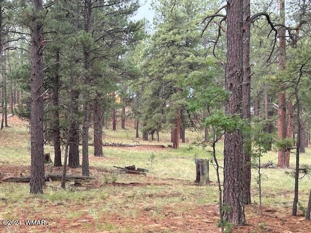 2115 Alpine Az 85920 Alpine, AZ 85920 - Photo 1 of 5 0001