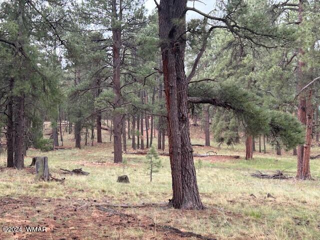 2115 Alpine Az 85920 Alpine, AZ 85920 - Photo 2 of 5 0002