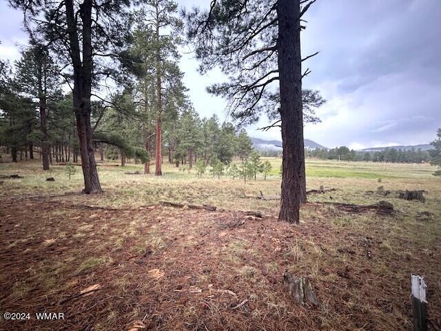 2115 Alpine Az 85920 Alpine, AZ 85920 - Photo 4 of 5 0004
