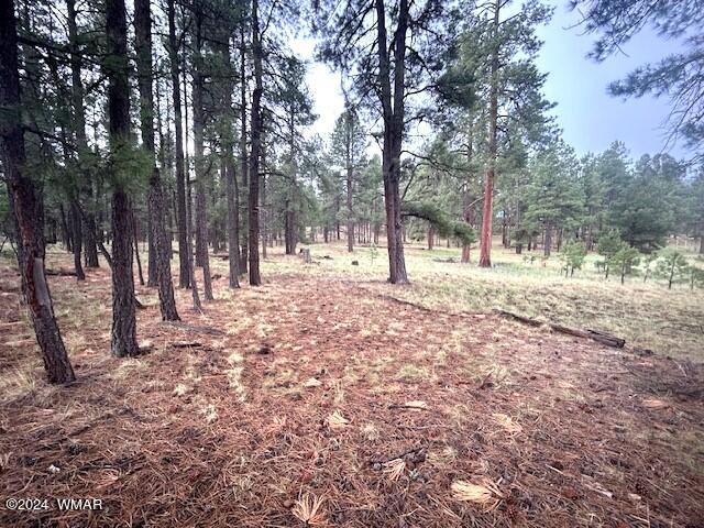 2115 Alpine Az 85920 Alpine, AZ 85920 - Photo 5 of 5 0005
