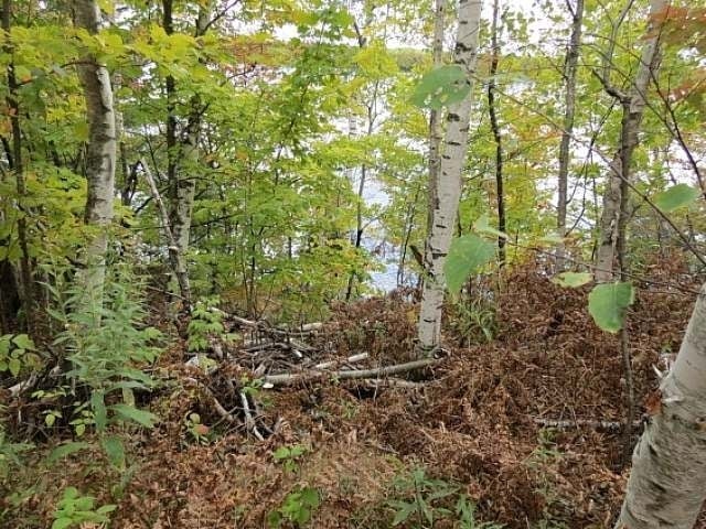 On Agony Point Road Presque Isle, WI 54557 - Photo 15 of 15 Gallery Image 15