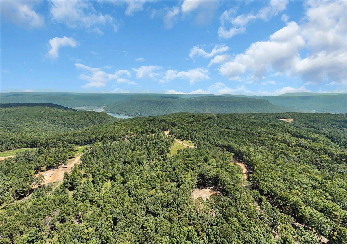 0 Musket Road, Unit 1324 Guild, TN 37340 - Photo 11 of 28 06-DJI_20250819122152_0044_D