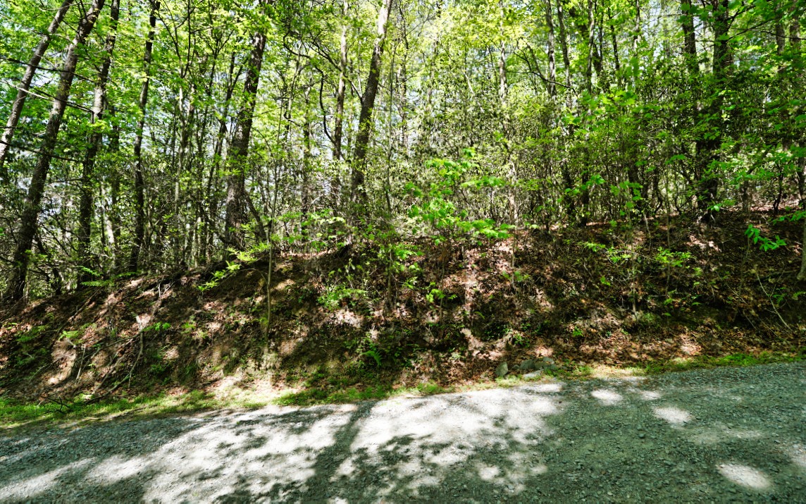 0 Laurel Ridge Road Blue Ridge, GA 30513 - Photo 17 of 23 Additional View
