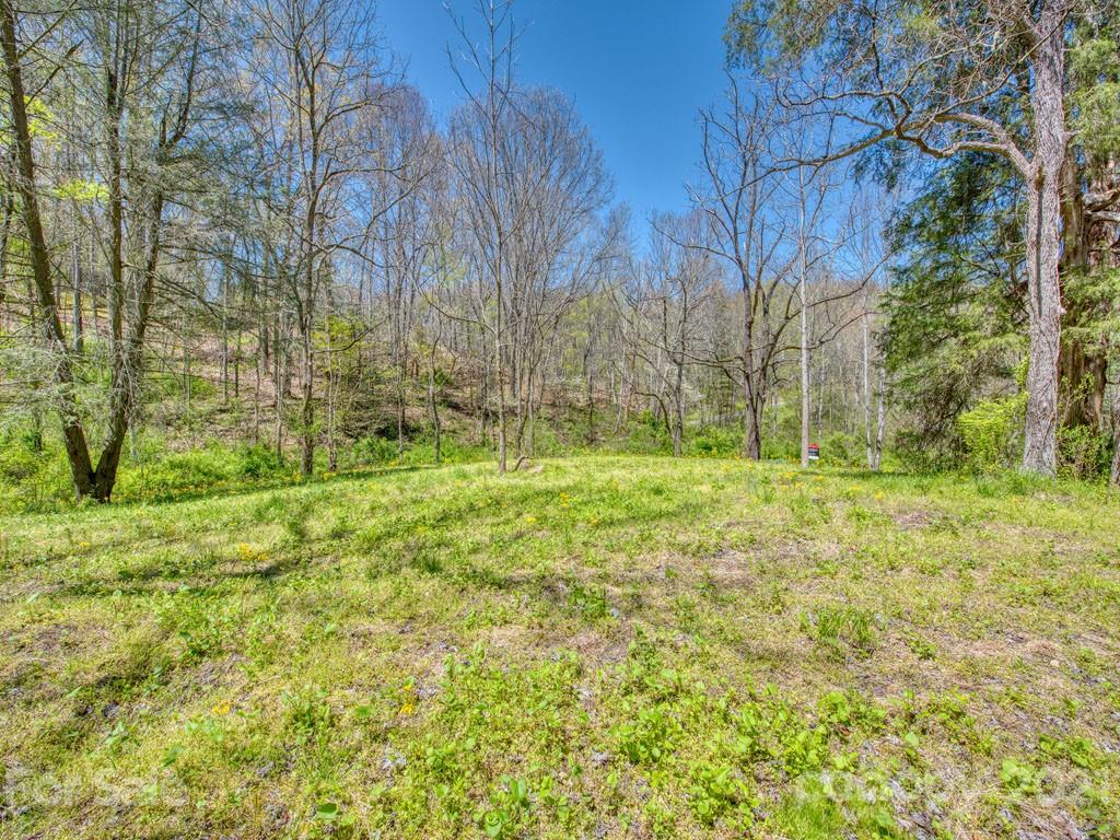 Lot#2 Mary Ruth Way Clyde, NC 28721 - Photo 1 of 27 a view of garden with trees
