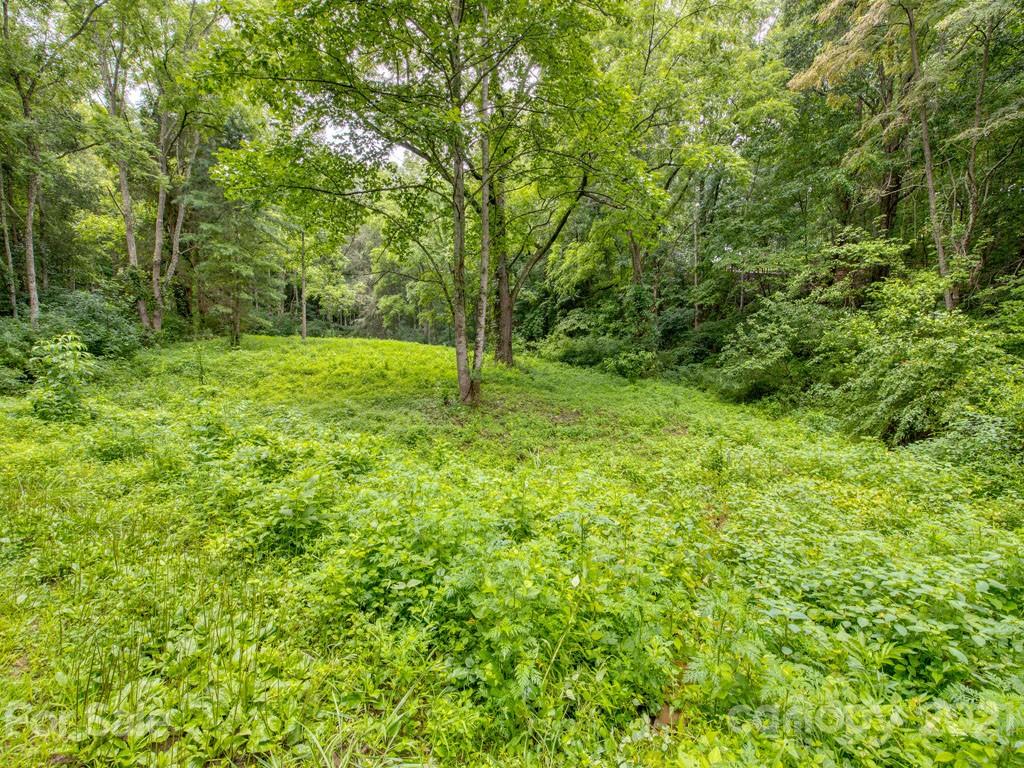 Lot#2 Mary Ruth Way Clyde, NC 28721 - Photo 17 of 27 a view of a yard with a tree