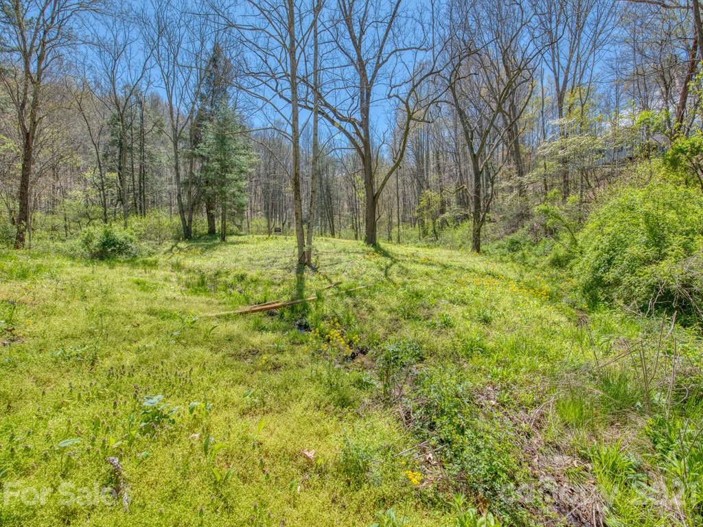 Lot#2 Mary Ruth Way Clyde, NC 28721 - Photo 3 of 27 a view of a yard with trees