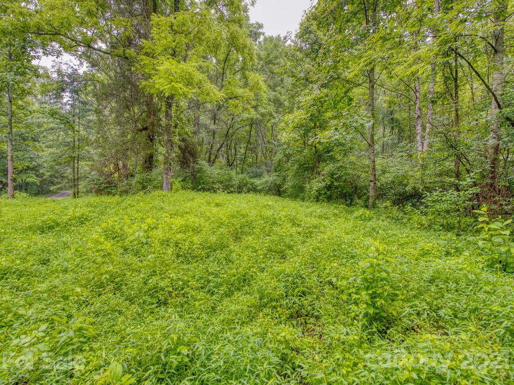 Lot#2 Mary Ruth Way Clyde, NC 28721 - Photo 21 of 27