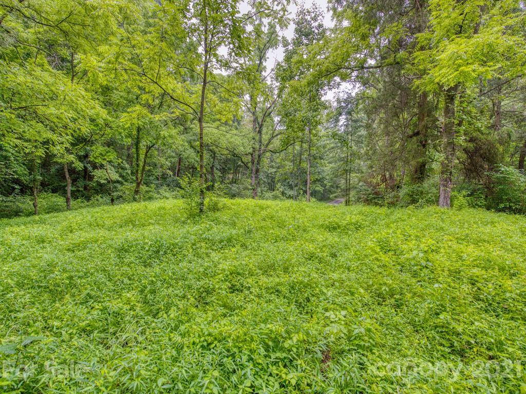 Lot#2 Mary Ruth Way Clyde, NC 28721 - Photo 22 of 27 a big yard with lots of green space and deers