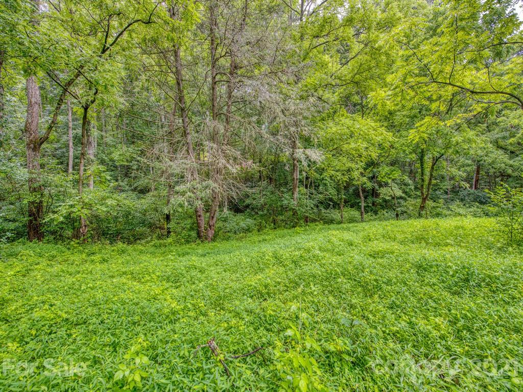 Lot#2 Mary Ruth Way Clyde, NC 28721 - Photo 23 of 27 a view of a lush green space and trees
