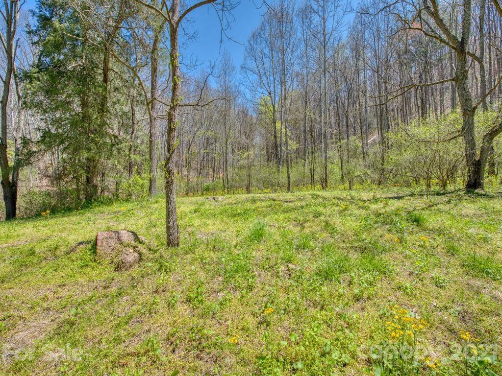 Lot#2 Mary Ruth Way Clyde, NC 28721 - Photo 5 of 27 a view of backyard with green space