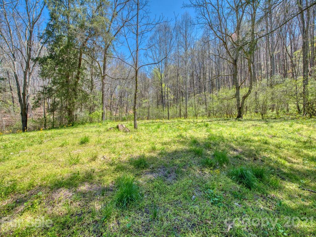 Lot#2 Mary Ruth Way Clyde, NC 28721 - Photo 6 of 27 a grassy field with trees in the background