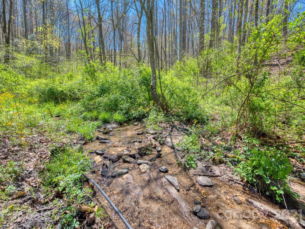 Lot#2 Mary Ruth Way Clyde, NC 28721 - Photo 7 of 27