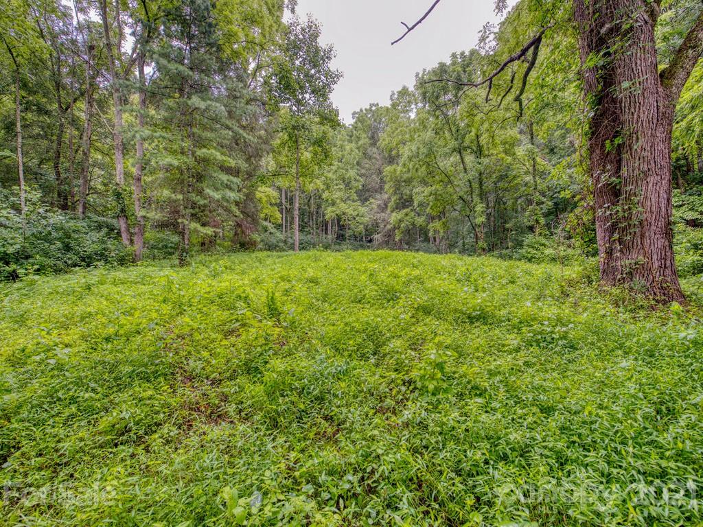 Lot#2 Mary Ruth Way Clyde, NC 28721 - Photo 8 of 27 a view of outdoor space and yard