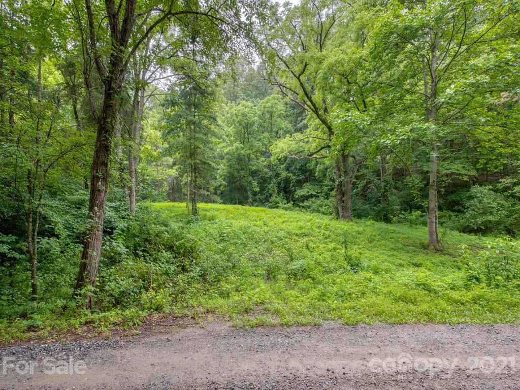 Lot#2 Mary Ruth Way Clyde, NC 28721 - Photo 9 of 27 a big yard with lots of green space and plants