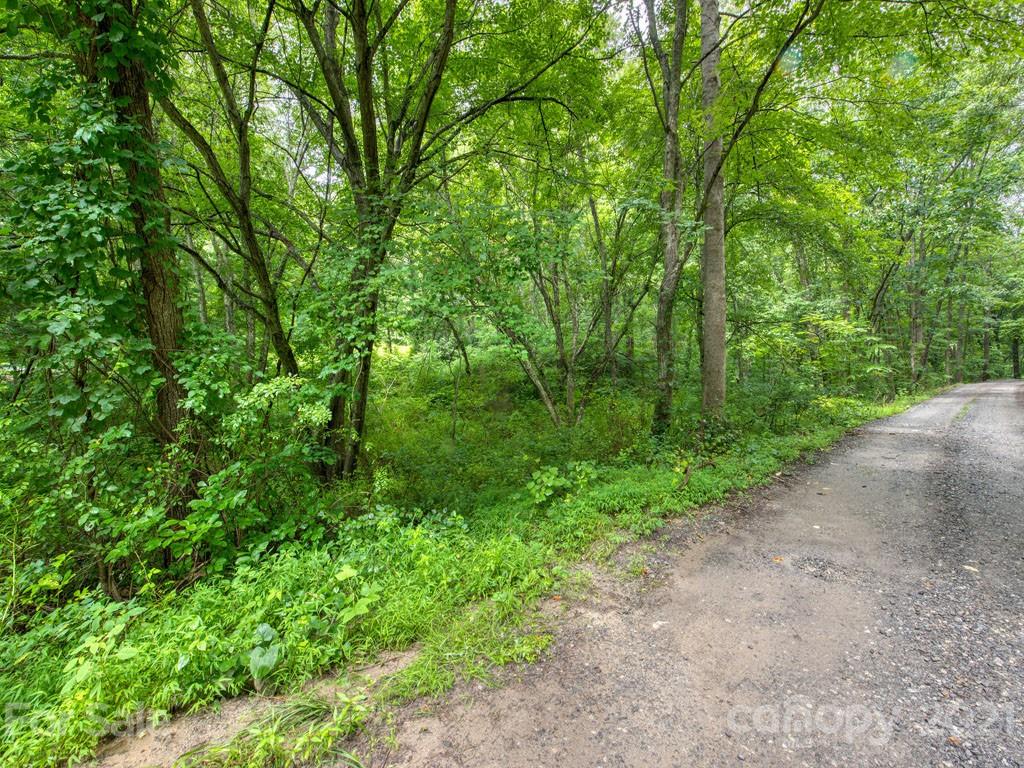 Lot#2 Mary Ruth Way Clyde, NC 28721 - Photo 10 of 27 a view of a large yard with lots of green space