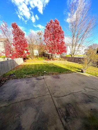 a view of an outdoor space with yard