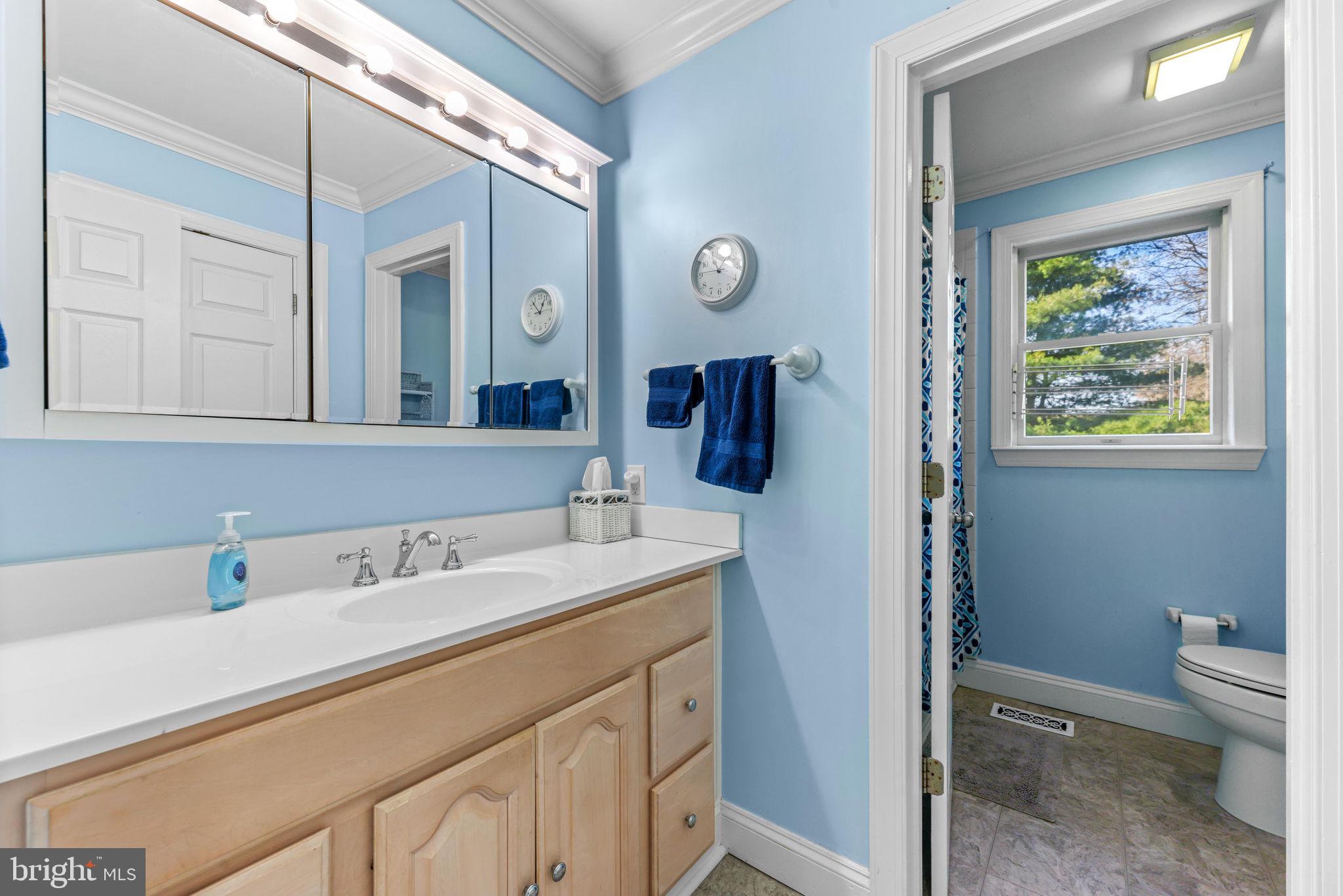 21310 West Liberty Road Parkton, MD 21120 - Photo 65 of 111 a bathroom with a sink and a mirror