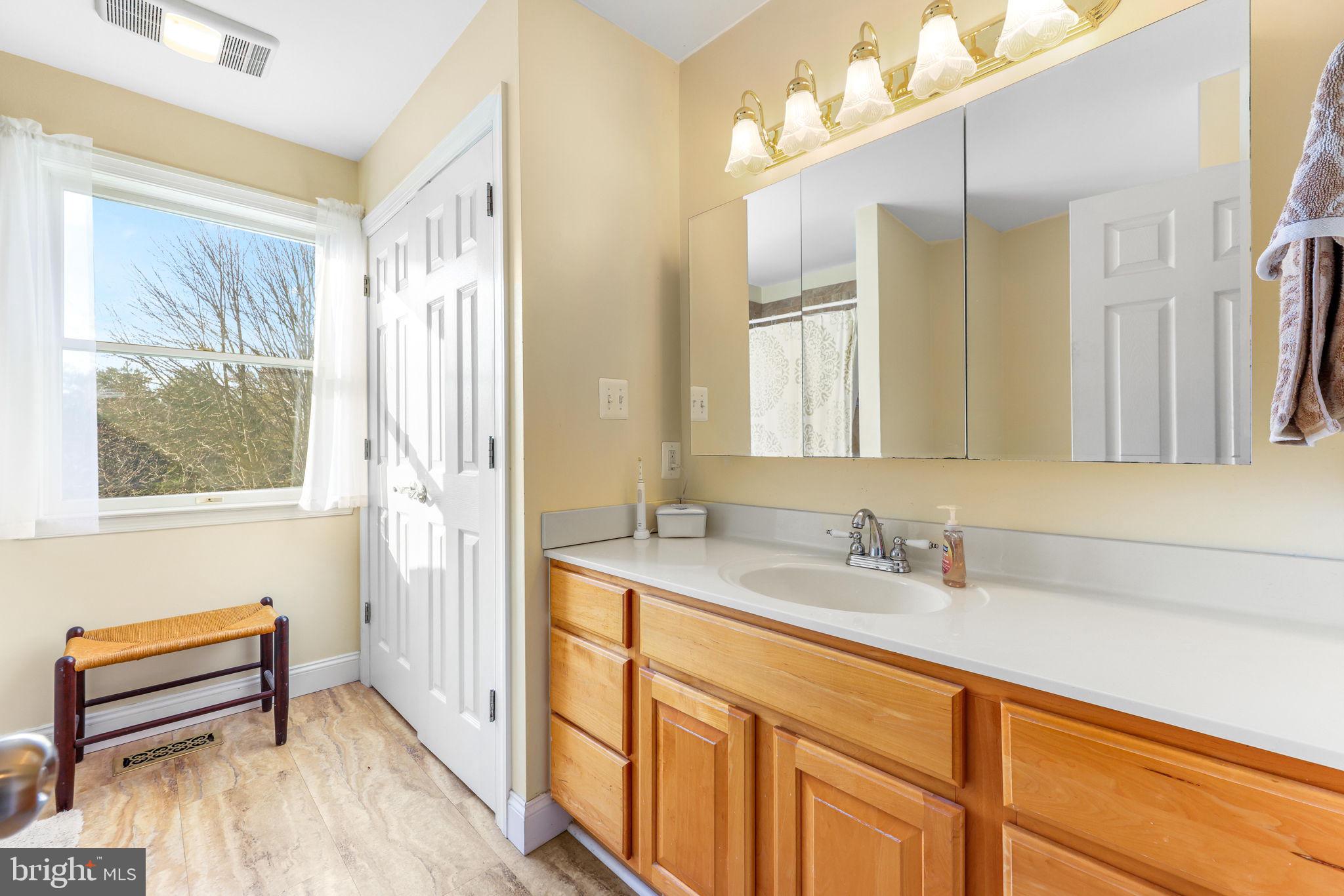 21310 West Liberty Road Parkton, MD 21120 - Photo 71 of 111 a bathroom with a sink a mirror and a window