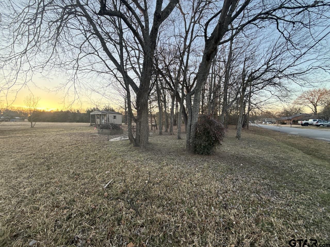 514 Chestnut Street Van, TX 75790 - Photo 30 of 31