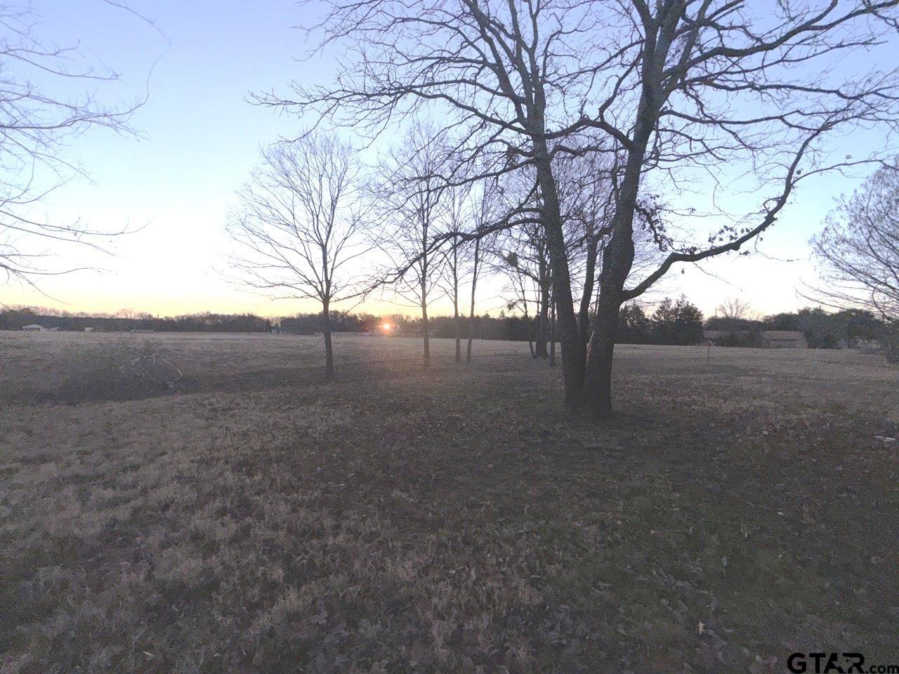 514 Chestnut Street Van, TX 75790 - Photo 31 of 31