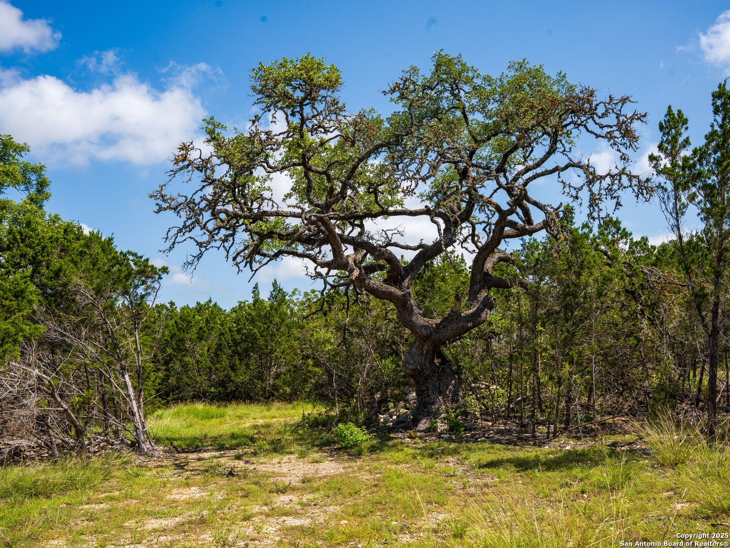 a view of swimming pool