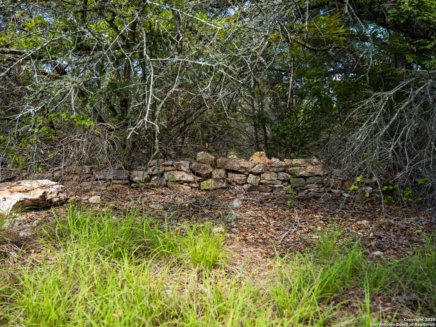 0 Oak Valley Ranch Dripping Springs, TX 78620 - Photo 11 of 12 a view of a tree with a yard
