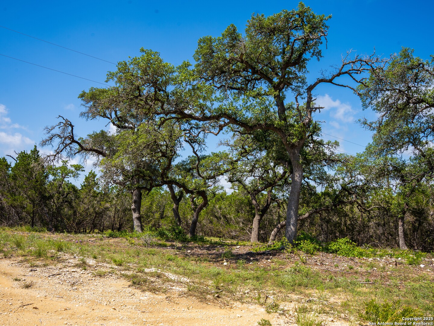 0 Oak Valley Ranch Dripping Springs, TX 78620 - Photo 12 of 12 a view of a yard with a tree