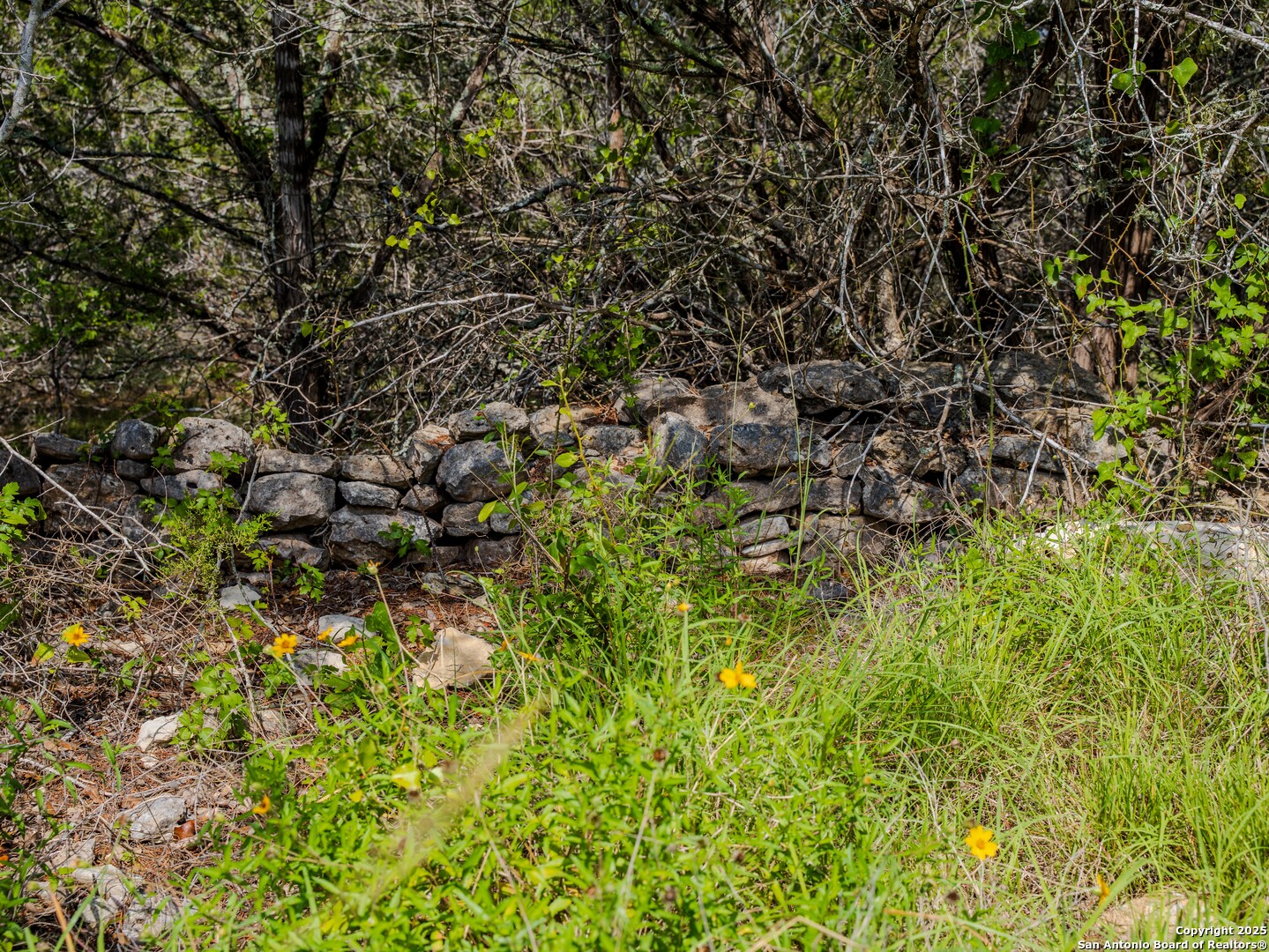 0 Oak Valley Ranch Dripping Springs, TX 78620 - Photo 2 of 12