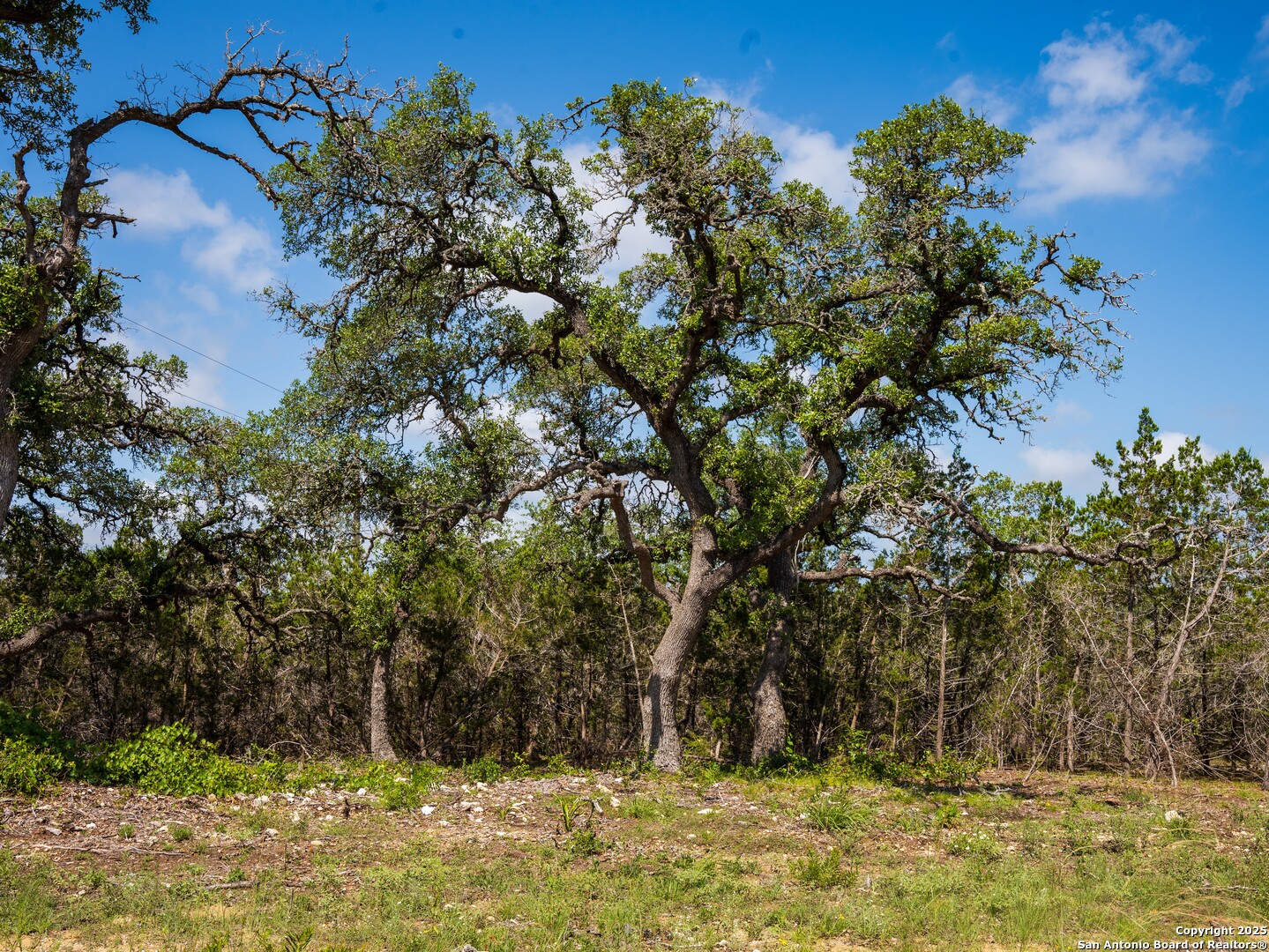 0 Oak Valley Ranch Dripping Springs, TX 78620 - Photo 3 of 12