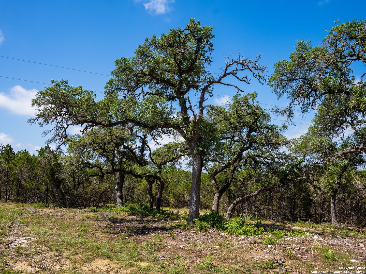 0 Oak Valley Ranch Dripping Springs, TX 78620 - Photo 4 of 12 a view of a tree with a yard