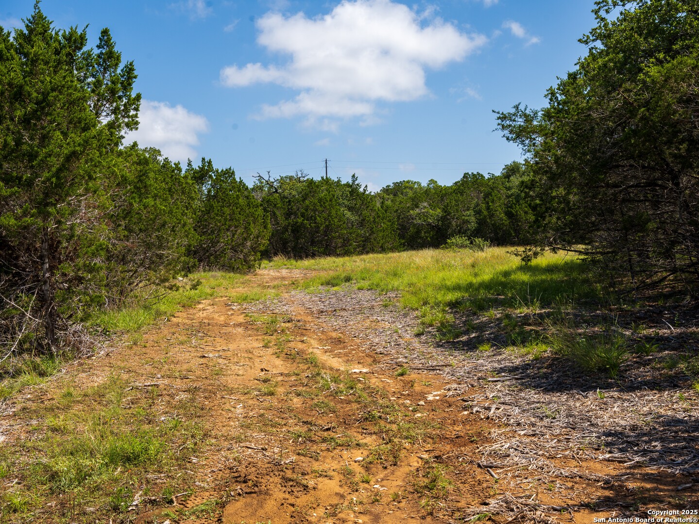 0 Oak Valley Ranch Dripping Springs, TX 78620 - Photo 6 of 12 a view of outdoor space and yard