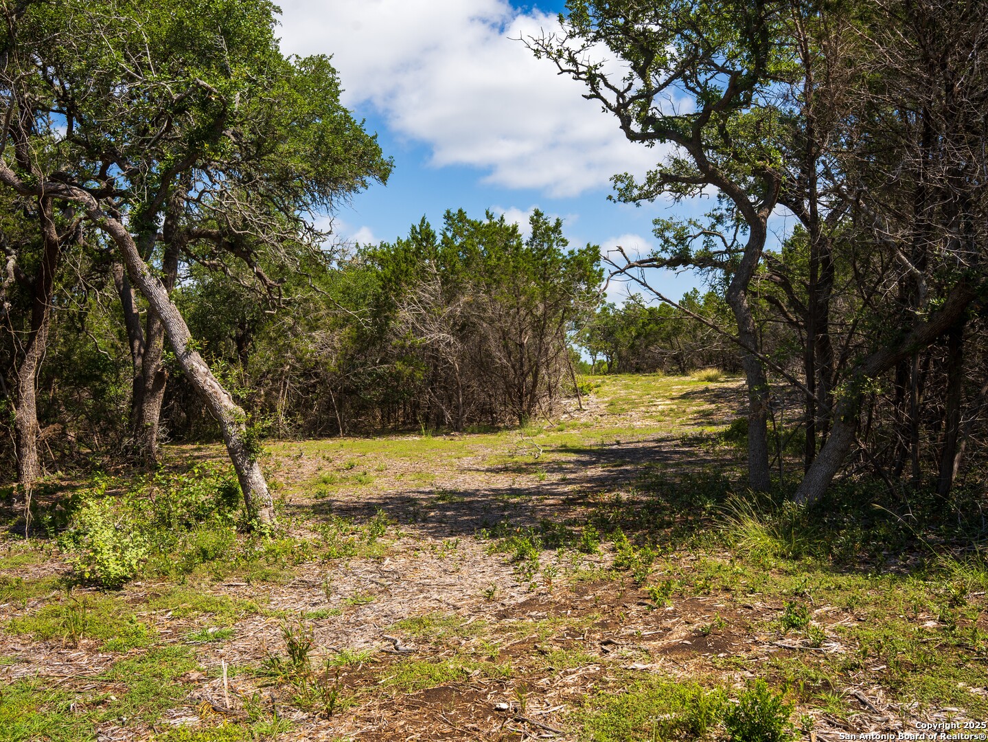0 Oak Valley Ranch Dripping Springs, TX 78620 - Photo 7 of 12 a view of a yard with trees