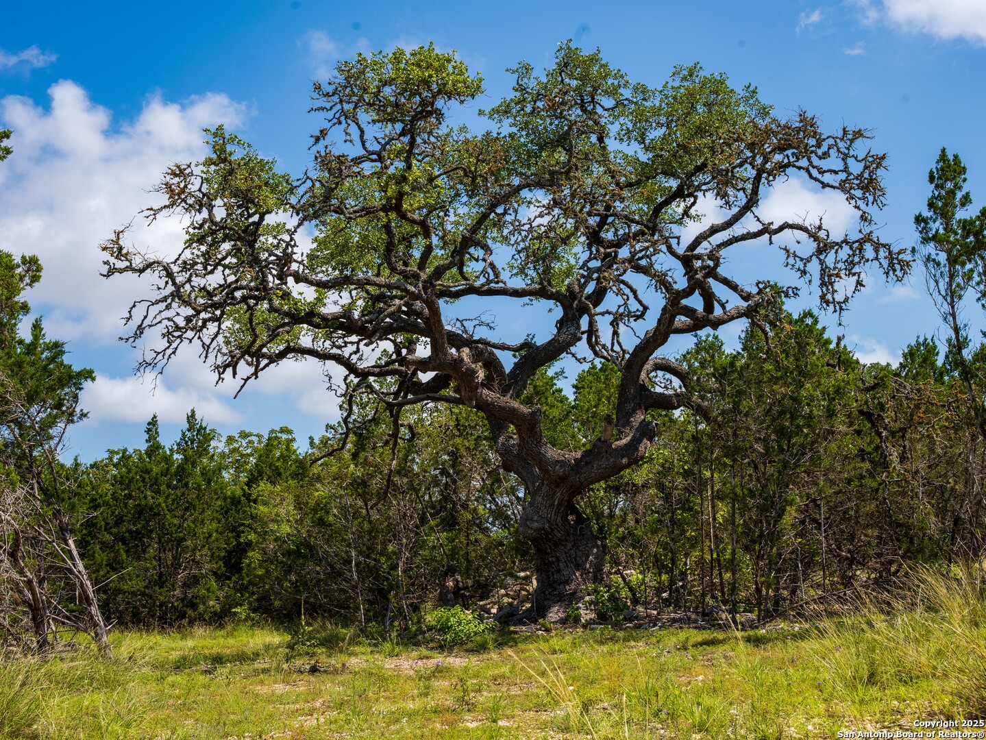 0 Oak Valley Ranch Dripping Springs, TX 78620 - Photo 9 of 12 a view of a lake