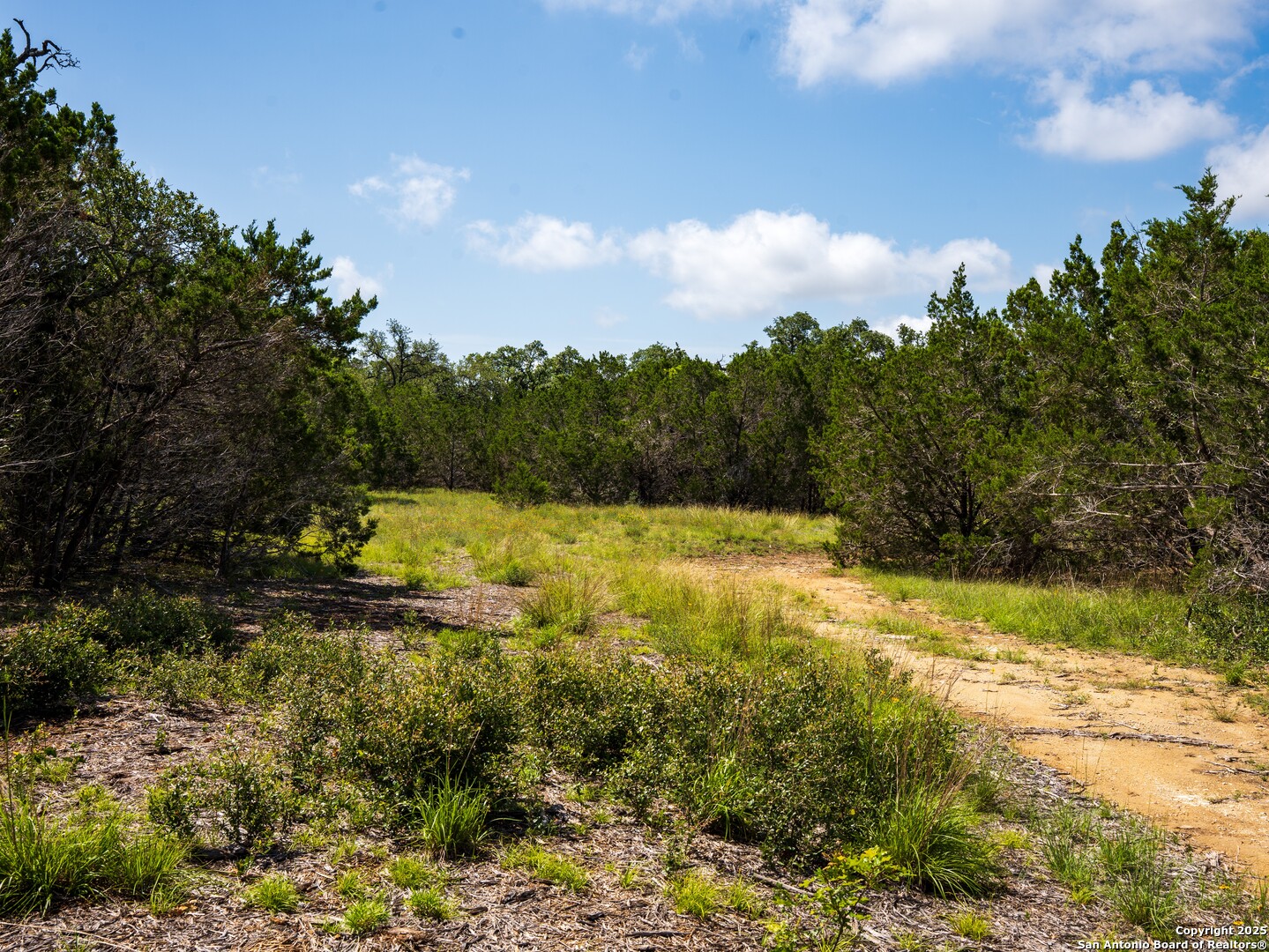 0 Oak Valley Ranch Dripping Springs, TX 78620 - Photo 10 of 12 a view of swimming pool and mountain in the background