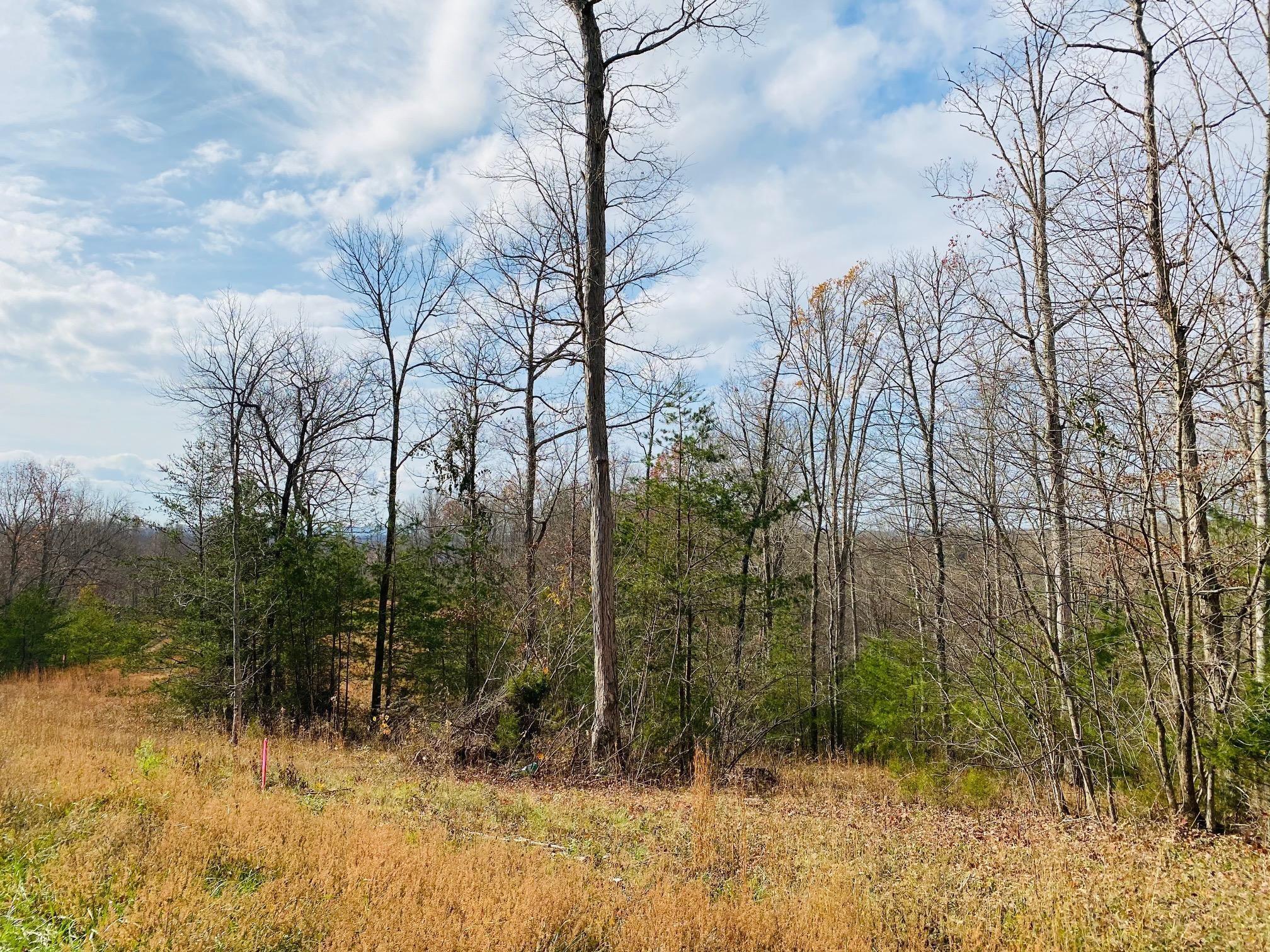 1 Stearns Holw Road Monticello, KY 42633 - Photo 8 of 16 20201123184352405793000000-o
