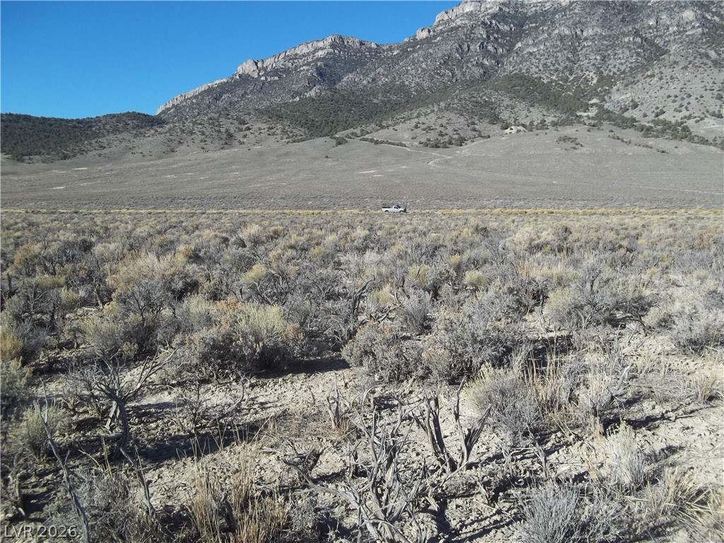 5 Acres In Newark Valley Ely, NV 89301 - Photo 2 of 9