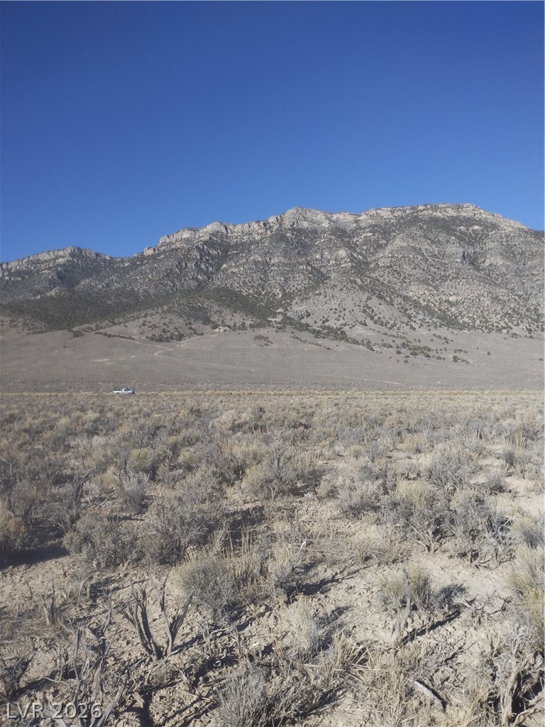 5 Acres In Newark Valley Ely, NV 89301 - Photo 4 of 9