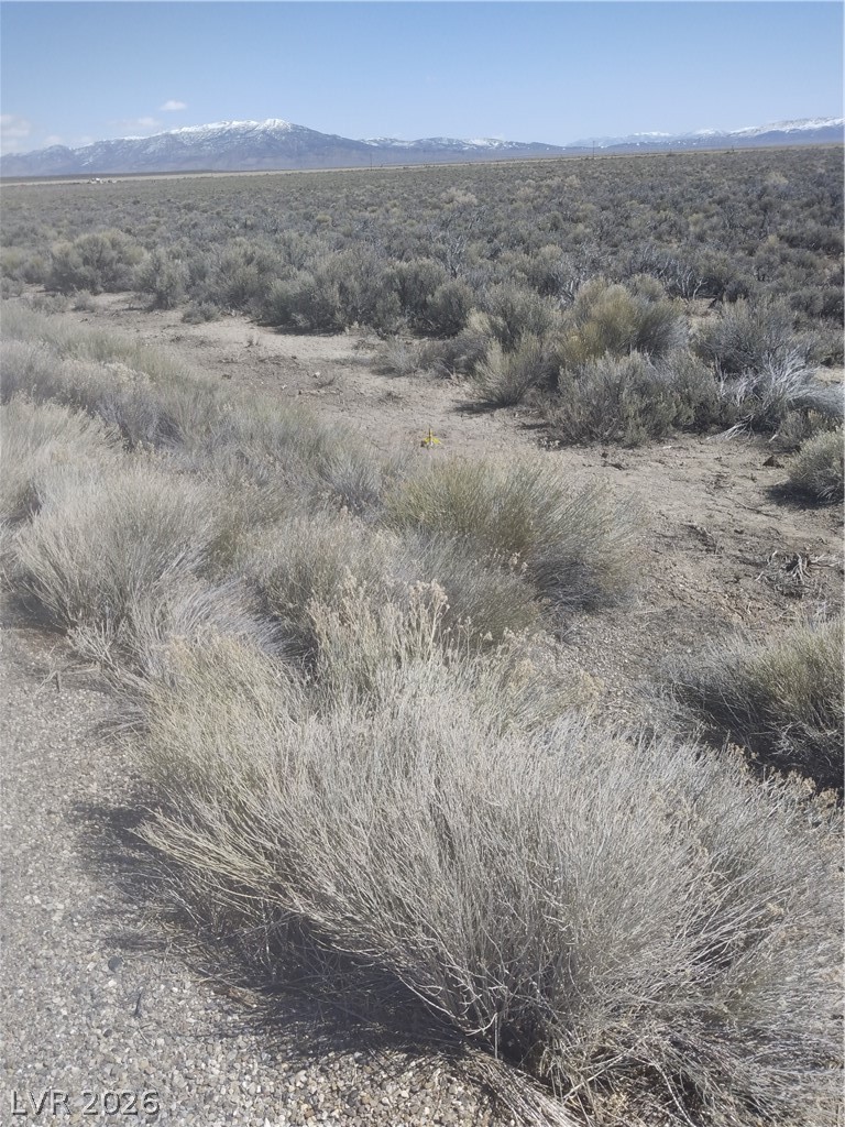 5 Acres In Newark Valley Ely, NV 89301 - Photo 5 of 9
